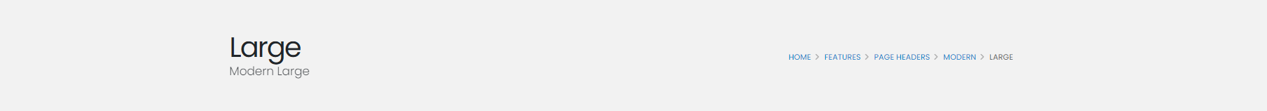 Modern Large Modern Large