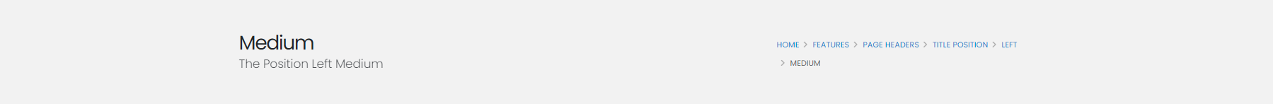 The Position Left Medium The Position Left Medium
