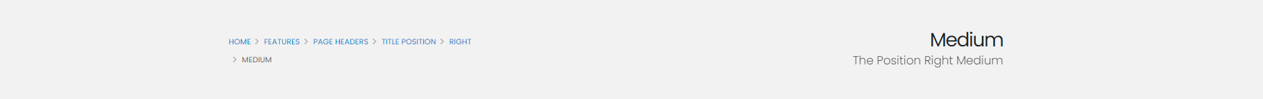 The Position Right Medium The Position Right Medium